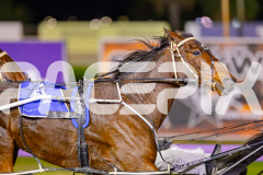 2025_PACEPIX_GP10062025_RACE4_HerPresence_WIN_WEB-5