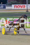 2026_PACEPIX_GP28022026_RACE4_HezTheBoss_WIN_WEB-10