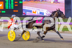 2026_PACEPIX_GP28022026_RACE4_HezTheBoss_WIN_WEB-12