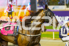2026_PACEPIX_GP28022026_RACE4_HezTheBoss_WIN_WEB-30