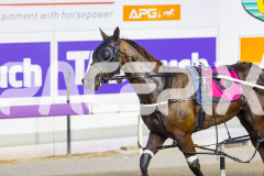 2026_PACEPIX_GP28022026_RACE4_HezTheBoss_WIN_WEB-32