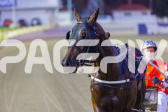 2026_PACEPIX_GP28022026_RACE4_HezTheBoss_WIN_WEB-34