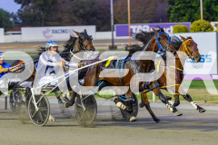 2026_PACEPIX_GP28022026_RACE4_HezTheBoss_WIN_WEB-4