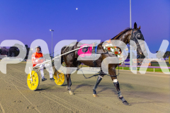 2026_PACEPIX_GP28022026_RACE4_HezTheBoss_WIN_WEB-43