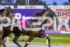 2026_PACEPIX_GP28022026_RACE4_HezTheBoss_WIN_WEB-7