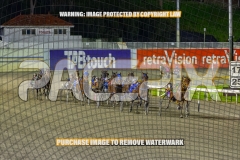 2026_PACEPIX_GP04092026_Race4_IdealBeach_WIN_WEB-2