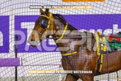2026_PACEPIX_GP04092026_Race4_IdealBeach_WIN_WEB-26