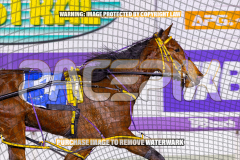 2026_PACEPIX_GP25082026_RACE4_IdealWhisper_WIN_WEB-10