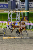 2026_PACEPIX_GP25082026_RACE4_IdealWhisper_WIN_WEB-14