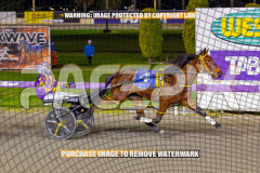 2026_PACEPIX_GP25082026_RACE4_IdealWhisper_WIN_WEB-18