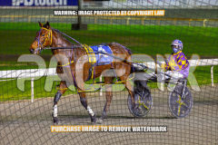 2026_PACEPIX_GP25082026_RACE4_IdealWhisper_WIN_WEB-26