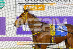 2026_PACEPIX_GP25082026_RACE4_IdealWhisper_WIN_WEB-27