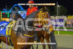 2026_PACEPIX_GP25082026_RACE4_IdealWhisper_WIN_WEB-32