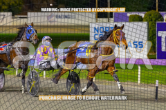 2026_PACEPIX_GP25082026_RACE4_IdealWhisper_WIN_WEB-7