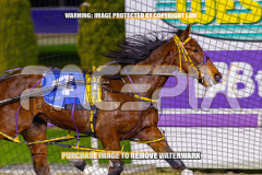 2026_PACEPIX_GP25082026_RACE4_IdealWhisper_WIN_WEB-9