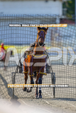 2026_PACEPIX_GP27072026_Race4_IdealWhisper_WIN_WEB-1