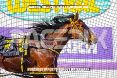 2026_PACEPIX_GP27072026_Race4_IdealWhisper_WIN_WEB-10
