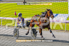 2026_PACEPIX_GP27072026_Race4_IdealWhisper_WIN_WEB-12