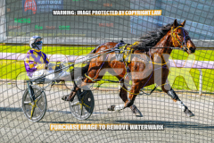 2026_PACEPIX_GP27072026_Race4_IdealWhisper_WIN_WEB-13