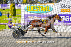 2026_PACEPIX_GP27072026_Race4_IdealWhisper_WIN_WEB-14