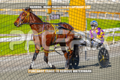 2026_PACEPIX_GP27072026_Race4_IdealWhisper_WIN_WEB-18