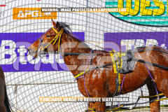 2026_PACEPIX_GP27072026_Race4_IdealWhisper_WIN_WEB-19