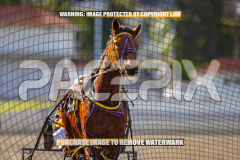 2026_PACEPIX_GP27072026_Race4_IdealWhisper_WIN_WEB-2