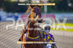 2026_PACEPIX_GP27072026_Race4_IdealWhisper_WIN_WEB-20