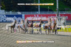 2026_PACEPIX_GP27072026_Race4_IdealWhisper_WIN_WEB-3
