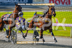2026_PACEPIX_GP27072026_Race4_IdealWhisper_WIN_WEB-5