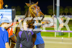 2025_PACEPIX_GP13052025_Race4_ImMassimo_WIN_WEB-15