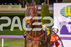RACE 4 - IM SUPERMAN