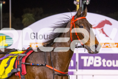 2023_HCC_GP12082025_Race4_Im-Spiderman_WEB-10