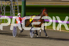 2023_HCC_GP12082025_Race4_Im-Spiderman_WEB-3