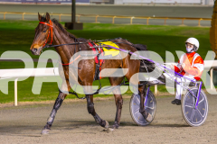 2023_HCC_GP12082025_Race4_Im-Spiderman_WEB-8