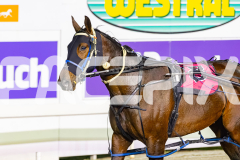 2026_PACEPIX_GP21042026_RACE4_ItsMaaTime_WIN_WEB-16