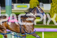 2026_PACEPIX_GP21042026_RACE4_ItsMaaTime_WIN_WEB-3