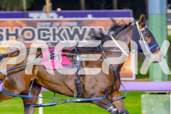 2026_PACEPIX_GP21042026_RACE4_ItsMaaTime_WIN_WEB-8