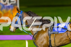2025_PACEPIX_GP05092025_RACE4_ItsMaaTime_WIN_WEB-27