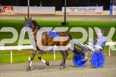 2025_PACEPIX_GP05092025_RACE4_ItsMaaTime_WIN_WEB-28