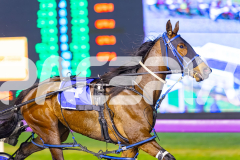 2025_PACEPIX_GP05092025_RACE4_ItsMaaTime_WIN_WEB-5