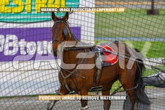 2026_PACEPIX_GP13102026_RACE4_JoeyJames_WIN_WEB-12