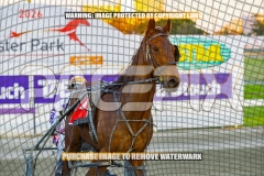 2026_PACEPIX_GP13102026_RACE4_JoeyJames_WIN_WEB-14