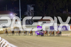2025_PACEPIX_GP14112025_RACE4_Justcallmemiki_WIN_WEB-1