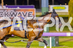 2025_PACEPIX_GP14112025_RACE4_Justcallmemiki_WIN_WEB-11