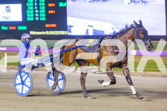 2025_PACEPIX_GP14112025_RACE4_Justcallmemiki_WIN_WEB-15