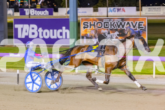2025_PACEPIX_GP14112025_RACE4_Justcallmemiki_WIN_WEB-16