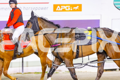 2025_PACEPIX_GP14112025_RACE4_Justcallmemiki_WIN_WEB-20