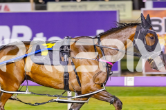 2025_PACEPIX_GP14112025_RACE4_Justcallmemiki_WIN_WEB-7