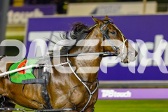 2026_PACEPIX_GP10042026_RACE4_LazDais_WIN_WEB-17